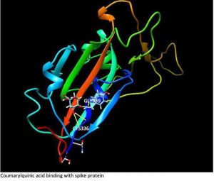 Read more about the article Study on SARS-coV-2 Virus at Karbala University