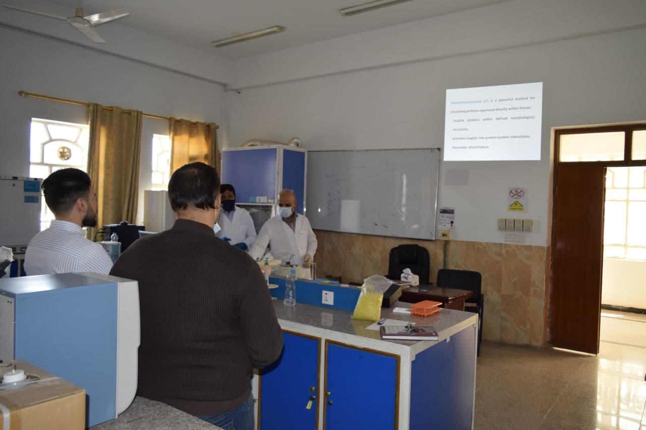 You are currently viewing A Workshop at the University of Kerbala on the Immunofluorescence test