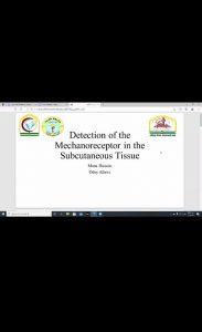 Read more about the article University of Kerbala Holding an Electronic Workshop on the Detection of Receptors in the Subcutaneous Tissue