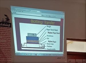 Read more about the article University of Kerbala Organizing a Training Course entitled “Blotting Types and Uses”