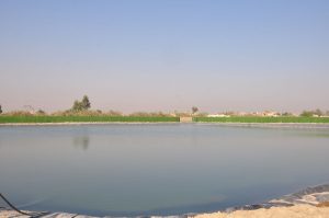 Read more about the article University of Kerbala Completes Implementation of a Ground Water Tank for Irrigation