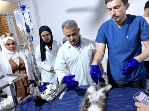 Read more about the article University of Kerbala Holding a Field Visit for students of Faculty of Veterinary Medicine to a Veterinary Clinic