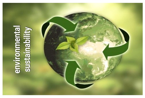 Read more about the article environmental sustainability