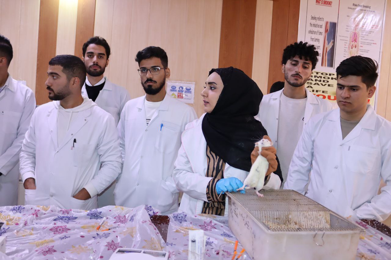 Read more about the article University of Kerbala Conducting a Practical Experiment on Rats to Evaluate Anti-Inflammatory Drugs