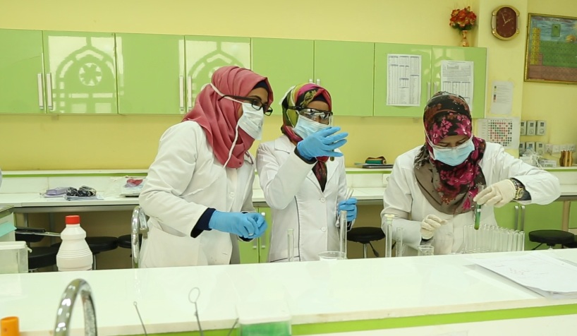 Read more about the article جامعة كربلاء تقيم دورة علمية عن تقنيات نسخ الحمض النووي