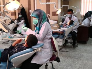 Read more about the article جامعة كربلاء تقيم ورشة عمل عن  الاستخدامات الحديثة للخلايا الجذعية