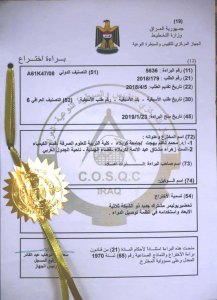 Read more about the article براءة اختراع لتحضير نظام لنقل جرعة الدواء الى الخلايا المصابة