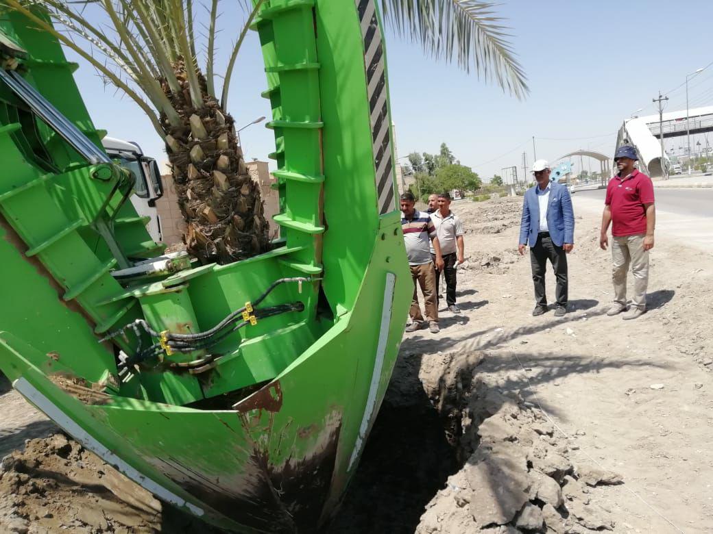 Read more about the article جامعة كربلاء تباشر اعمال تشجير وادامة لبيئتها الجامعية