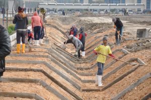 Read more about the article جامعة كربلاء تنفذ المرحلة الثانية من القناة الاروائية