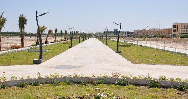 Read more about the article صور من الحدائق والممرات الخضراء في جامعة كربلاء