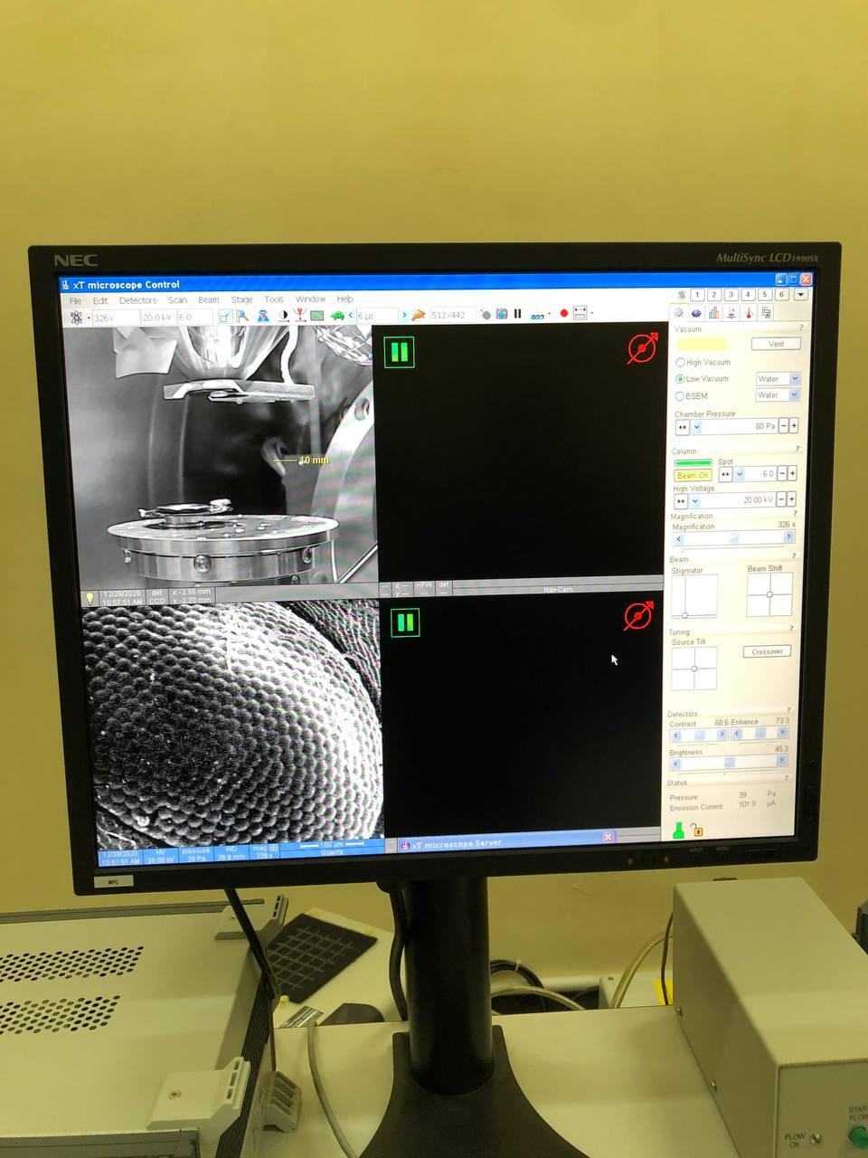 Read more about the article صور فوتوغرافية لنماذج من نتاجات عمل المجهر الالكتروني في كلية الطب البيطري