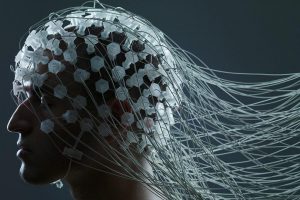 Read more about the article جامعة الشروق المصرية تمنح شهادة مشاركة لإعلام كلية الصيدلة