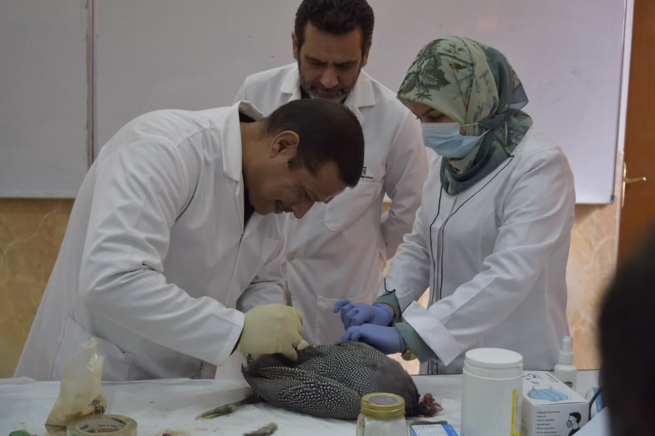 Read more about the article جامعة كربلاء تنظم دورة تدريبية حول التحنيط