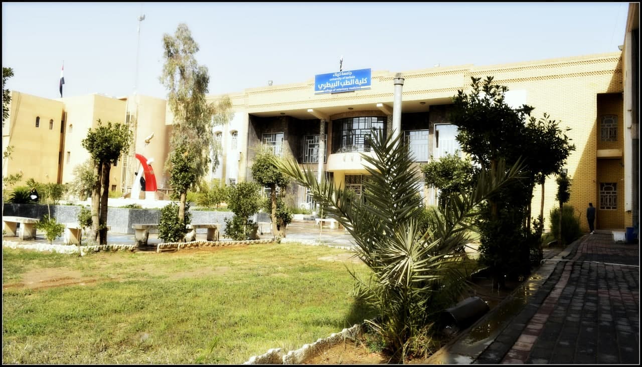 Read more about the article حملة تطوعية واسعة لطلبة كلية الطب البيطري في جامعة كربلاء