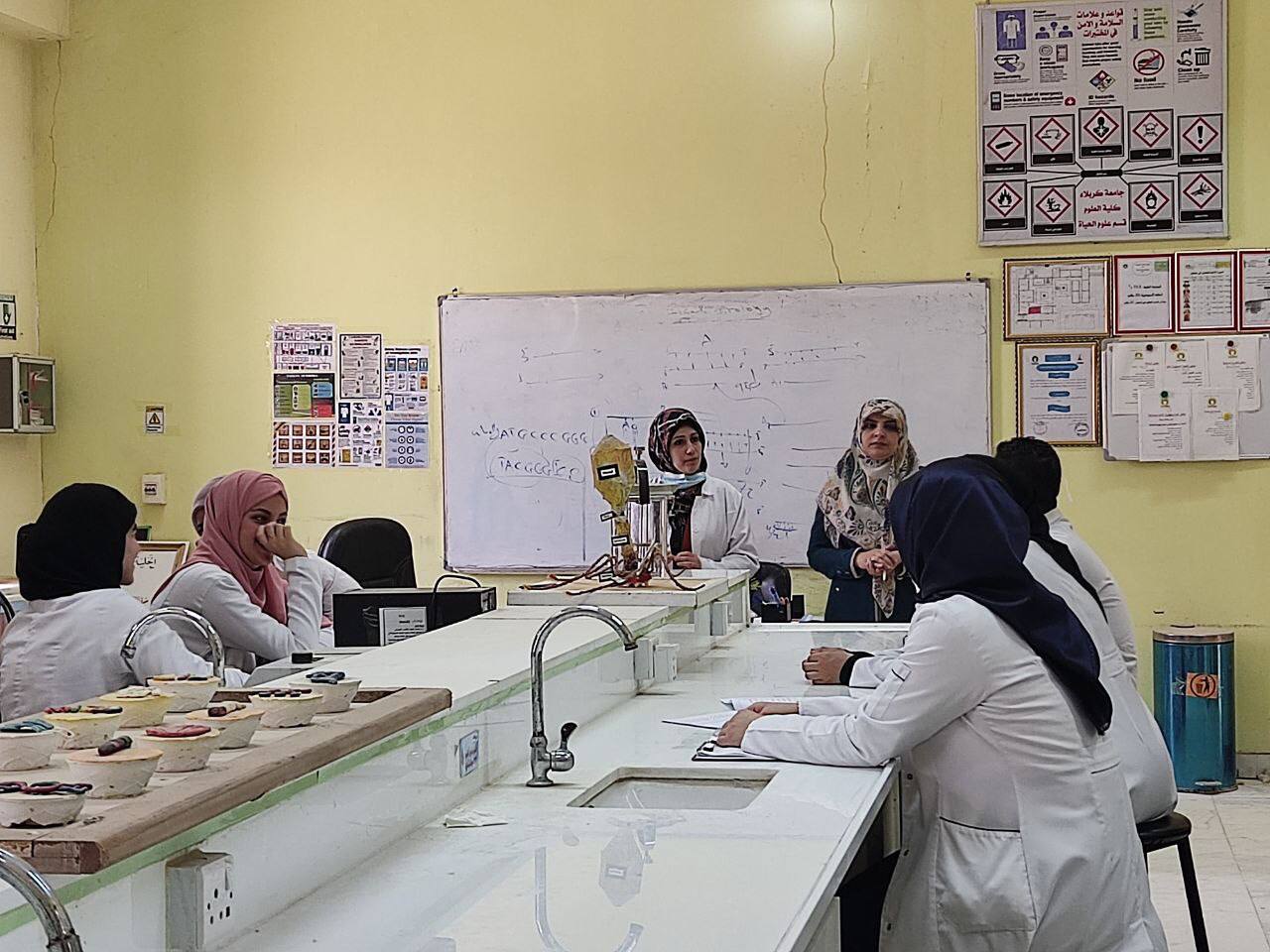 Read more about the article جامعة كربلاء تنظم دورة تدريبية عن تاثير مخلفات المستشفيات على الكائنات الحية والبيئة