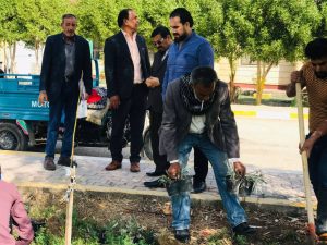 Read more about the article حملة تطوعية في جامعة كربلاء لزراعة الأشجار والورود