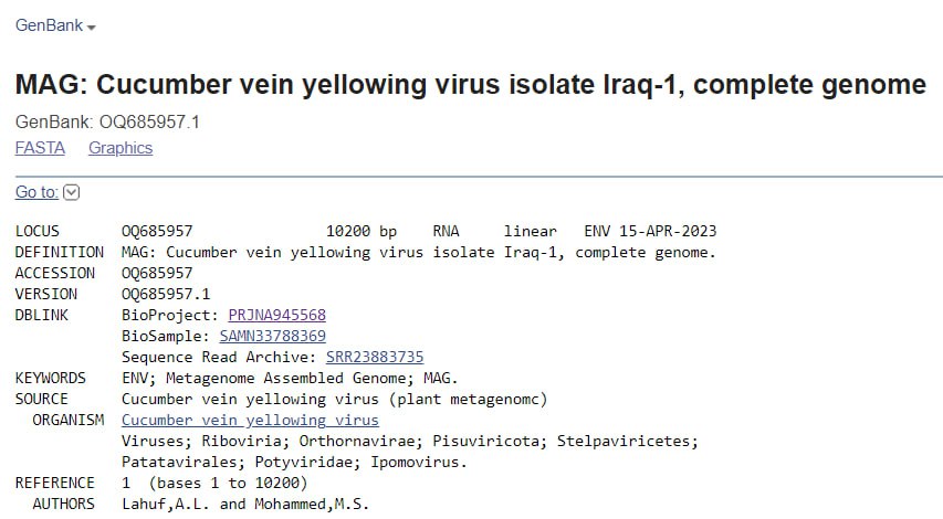 Read more about the article باحثان في جامعة كربلاء يتمكنان من التشخيص الجزئي لفايروسين نباتيين جديدين