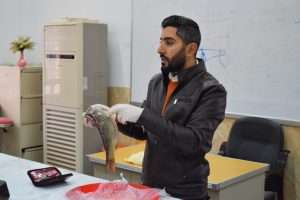 Read more about the article جامعة كربلاء تنظم دورة تدريبية عن الامراض الطفيلية للأسماك