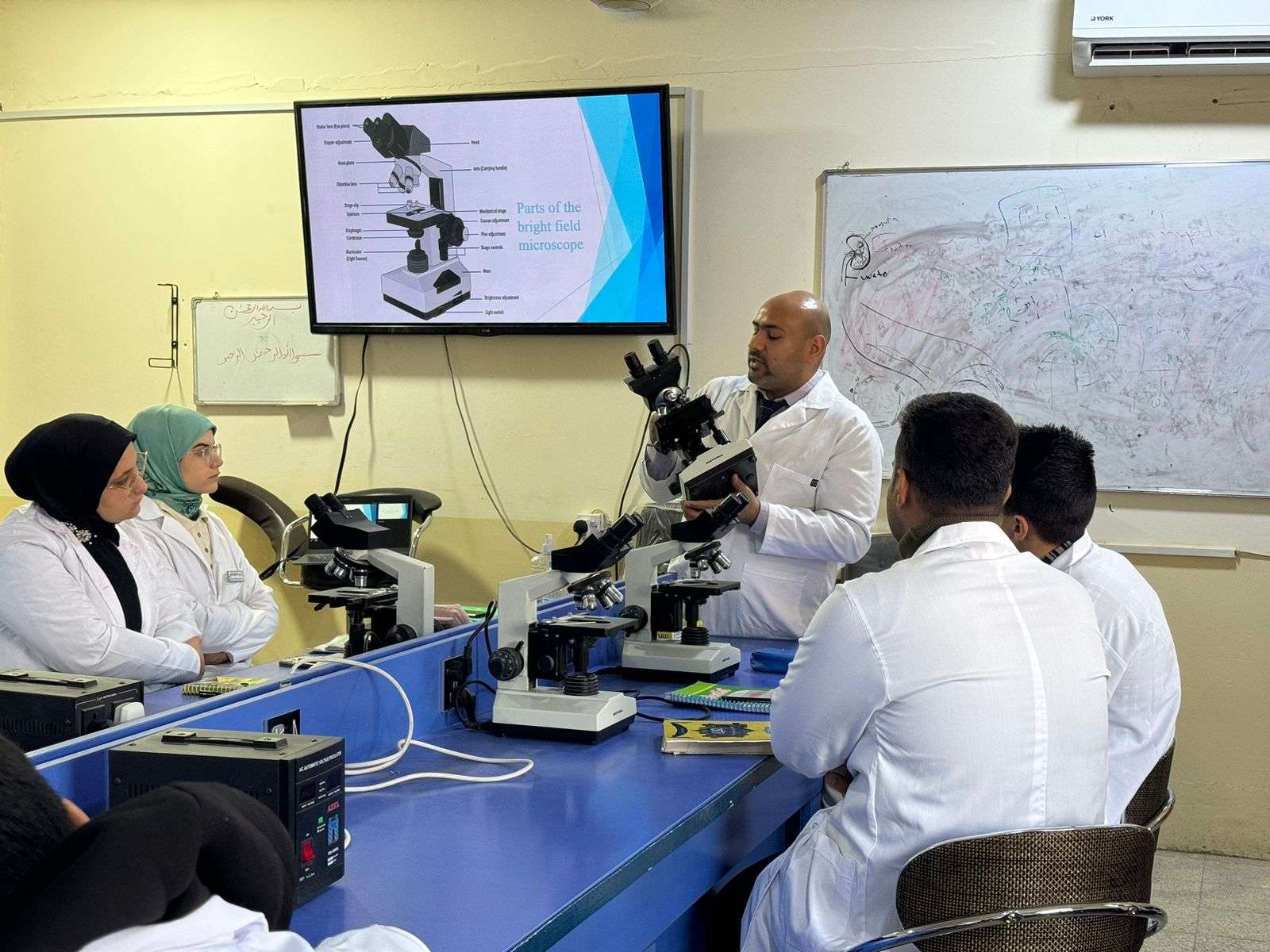 Read more about the article جامعة كربلاء تقيم دورة عن استخدام المجهر الضوئي في دراسة الكائنات الحية الدقيقة