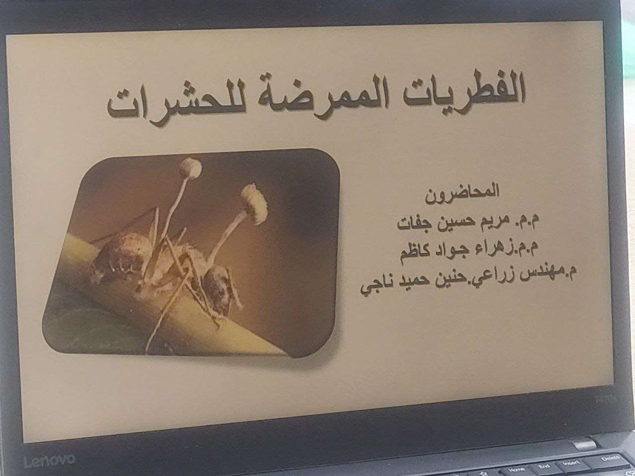 Read more about the article جامعة كربلاء تنظم دورة تدريبية عن الفطريات الممرضة للحشرات