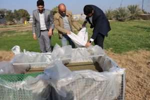 Read more about the article جامعة كربلاء تطلق مشروعاً لإكثار نبات الأزولا